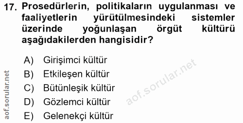 Soru 17