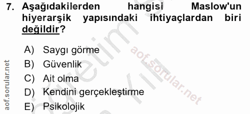 Soru 7