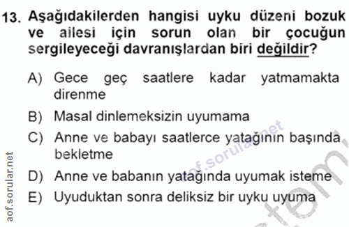 Soru 13