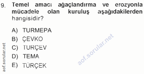 Soru 9