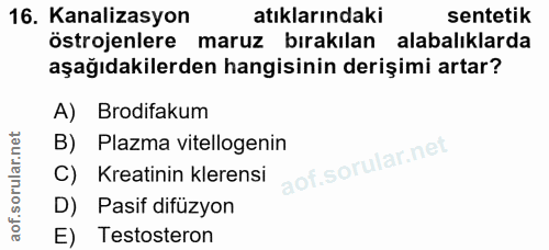 Soru 16