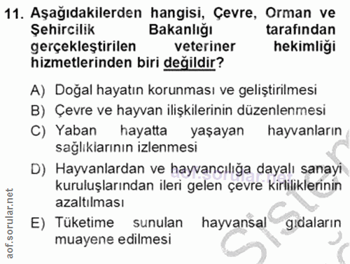Soru 11