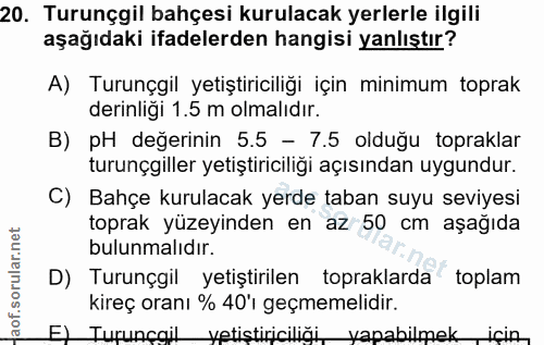 Soru 20