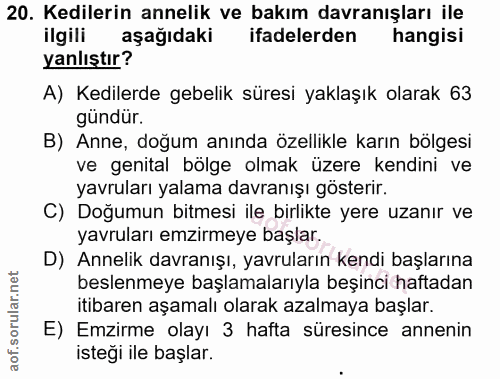 Soru 20