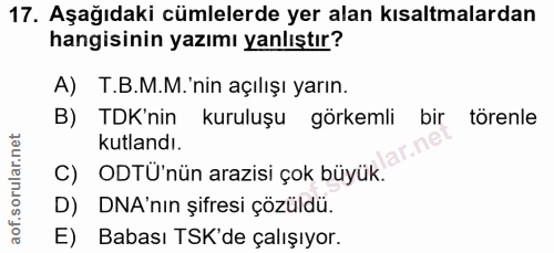Soru 17