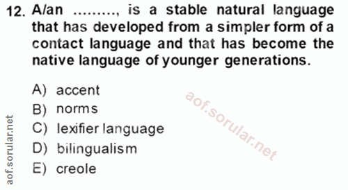 Soru 12