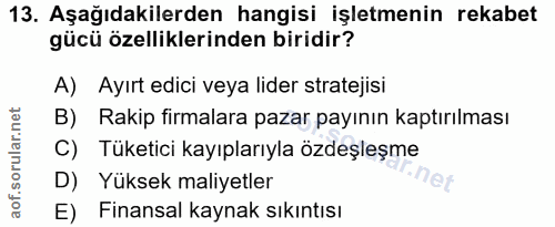 Soru 13