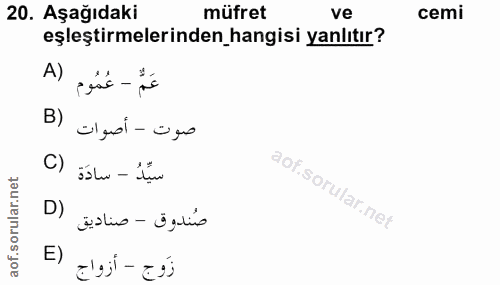 Soru 20