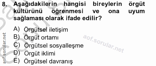 Soru 8
