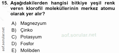 Soru 15