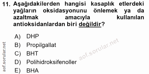 Soru 11
