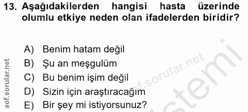 Soru 13