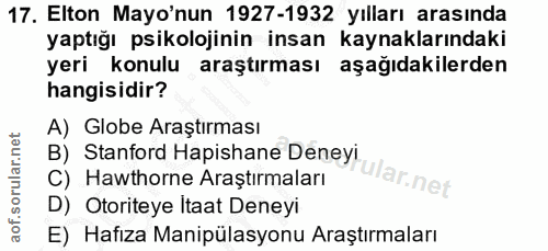 Soru 17