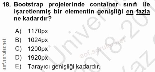 Soru 18