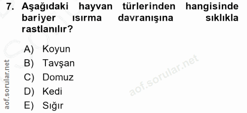 Soru 7