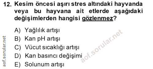 Soru 12