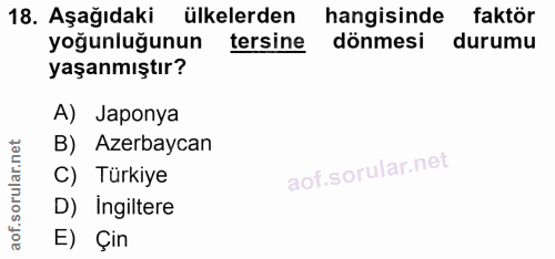 Soru 18
