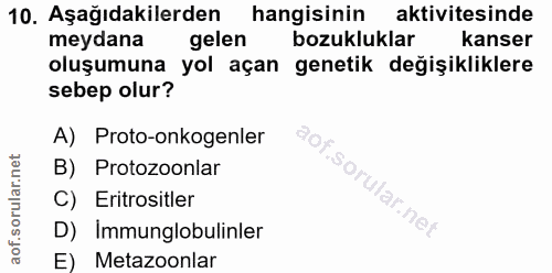 Soru 10