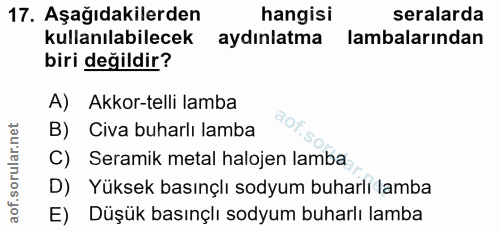 Soru 17