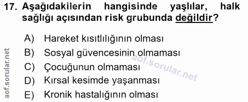 Soru 17