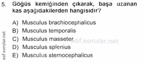 Soru 5