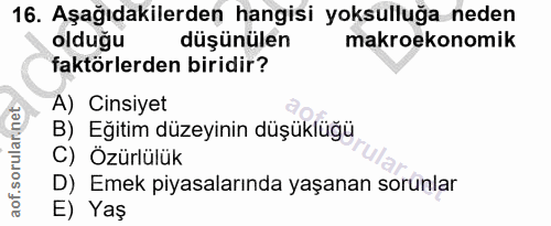 Soru 16