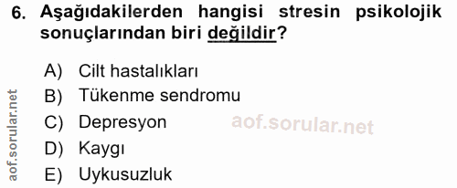 Soru 6