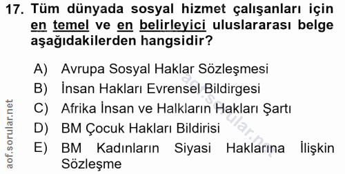 Soru 17