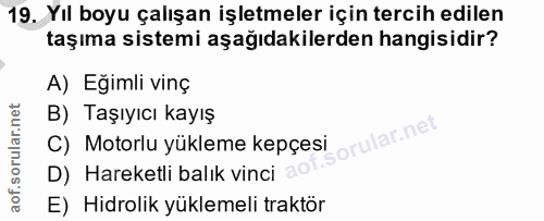 Soru 19