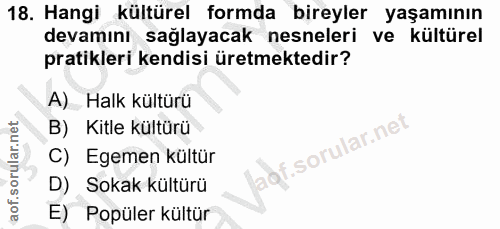 Soru 18