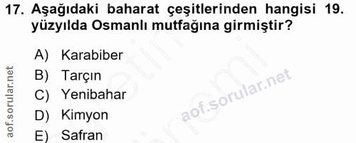 Soru 17