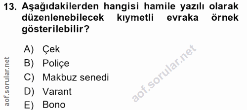 Soru 13