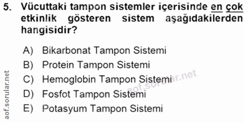 Soru 5