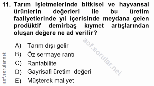 Soru 11