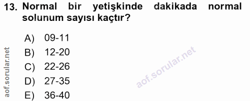 Soru 13