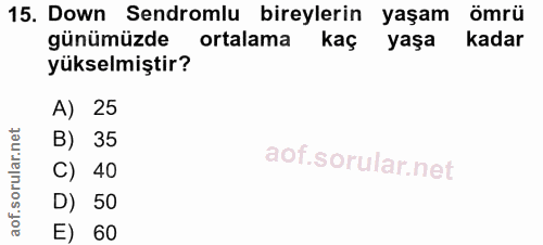 Soru 15