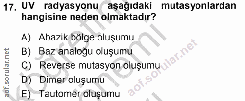 Soru 17