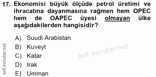 Soru 17
