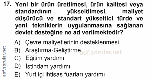 Soru 17