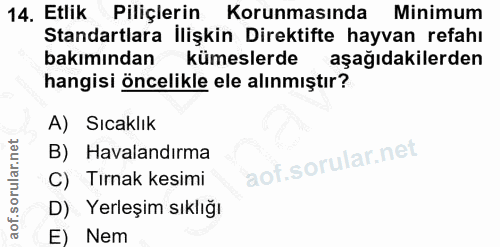 Soru 14