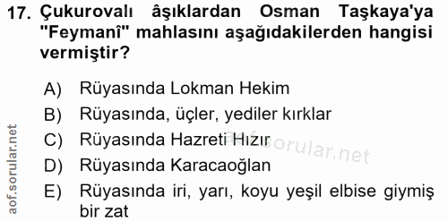 Soru 17