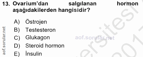 Soru 13