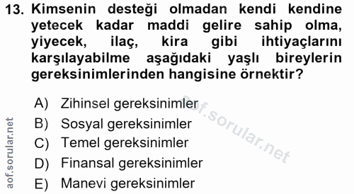 Soru 13