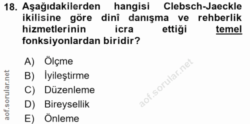 Soru 18