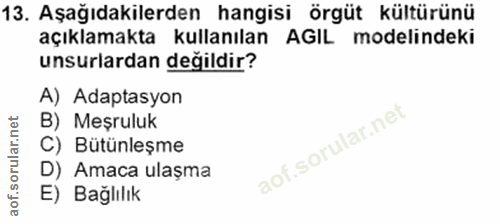 Soru 13