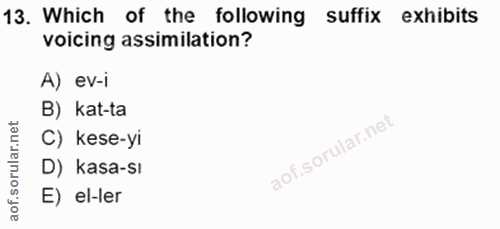 Soru 13