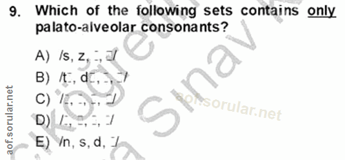 Soru 9