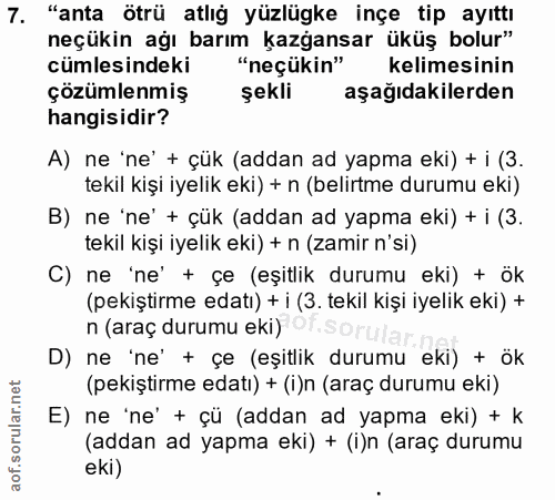 Soru 7