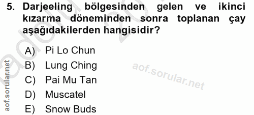 Soru 5