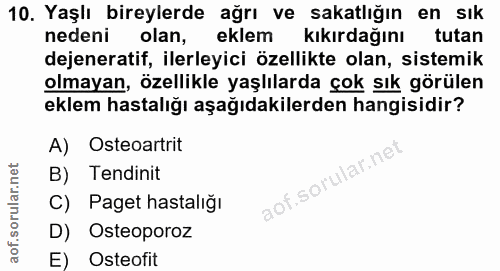 Soru 10